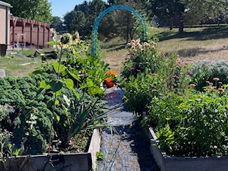 HEA Community Garden in All its Glory