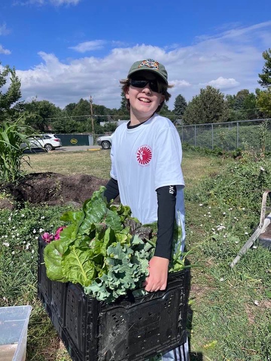 Noah, a young gardener, harvests a bundle of green, leafy vegetables.